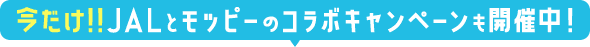 今だけ!!JALとモッピーのコラボキャンペーンも開催中！