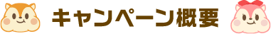 キャンペーン概要