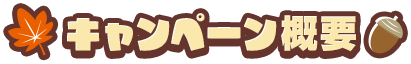 キャンペーン概要