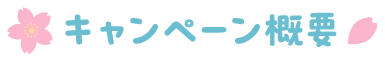 キャンペーン概要