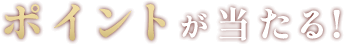 ポイントが当たる!