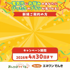 【超還元】※基本料金5ヶ月無料※エネワンでんき